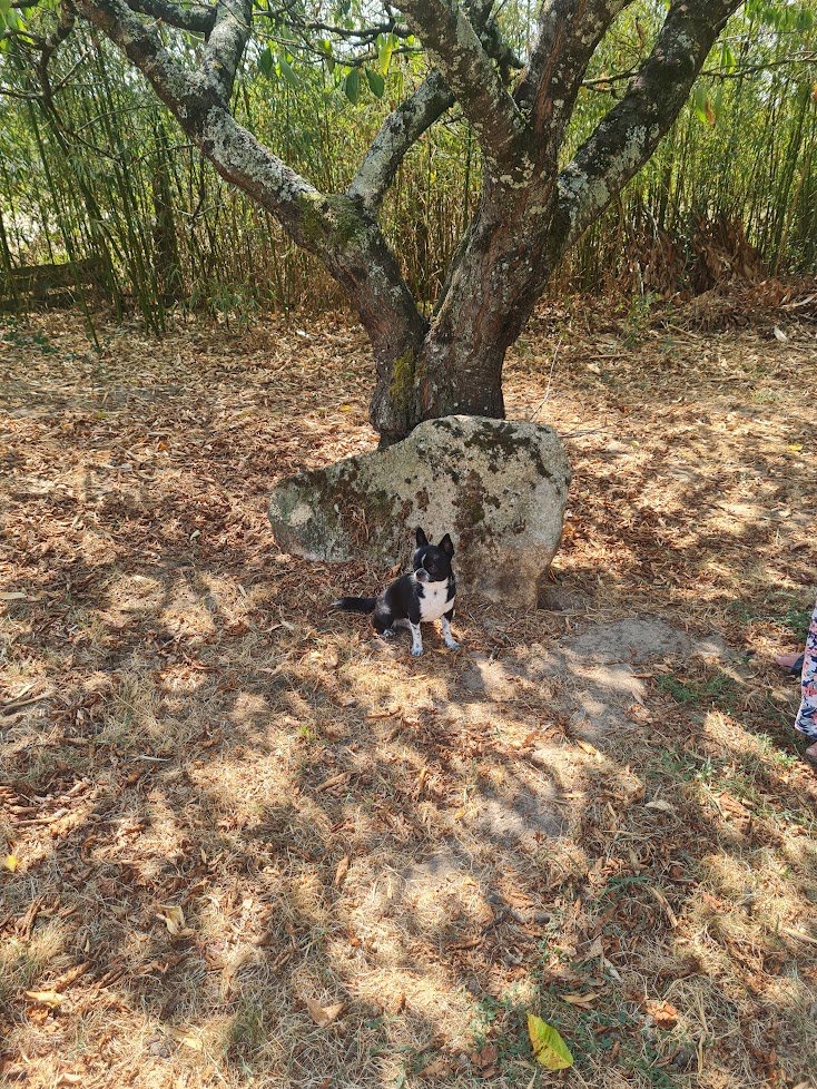 Valhaïl – Image 6