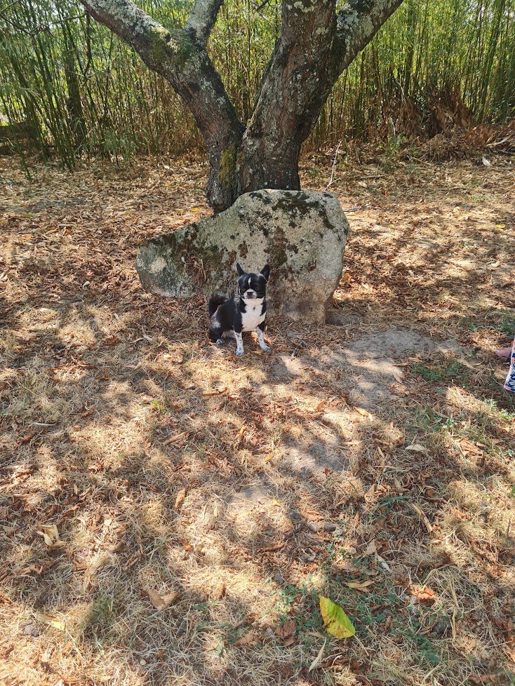Valhaïl – Image 4